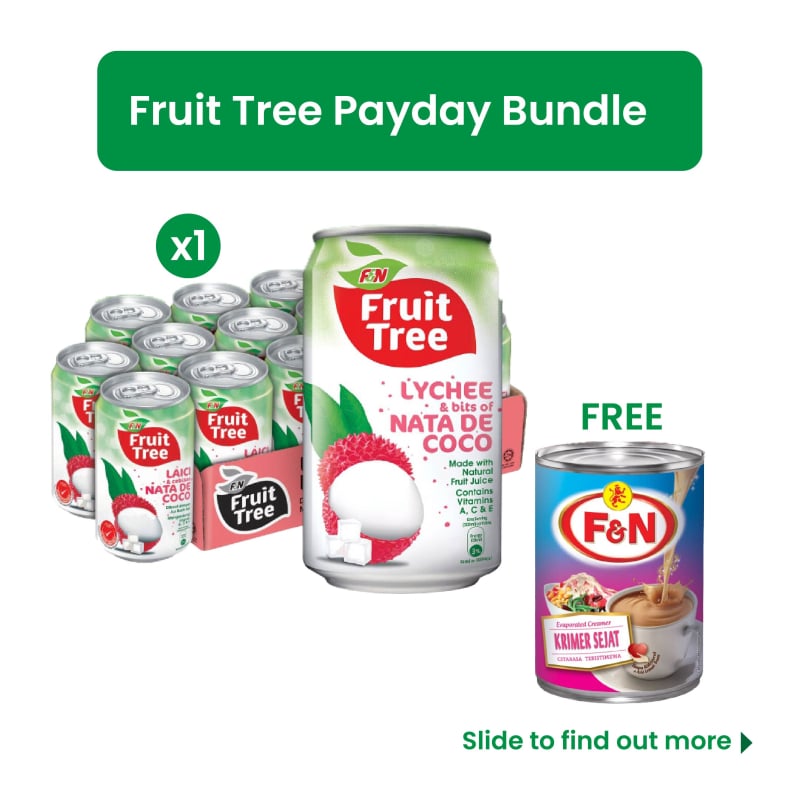 Fruit Tree Bundle-Fruit Tree Lychee Nada de Coco 300ML x 12