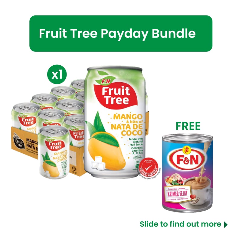 Fruit Tree Bundle-Fruit Tree Mango Nada de Coco 300ML x 12